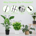 thumbnail image 4 of Januofit Plant Trellis for Potted Plants 2p, Larger 23in Garden Trellis for Climbing Plants Indoor Outdoor, Rustproof House Plant Support Stakes for Pothos Hoya Ivy Flower, 4 of 9