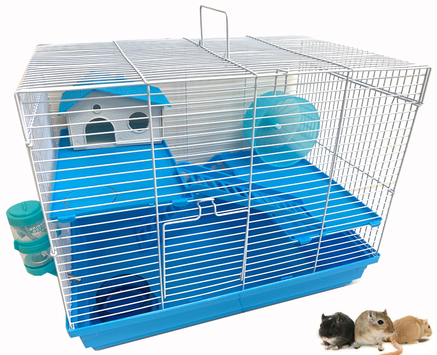 2. Keep your Hamster Healthy and Happy with these Essential Cage Accessories.