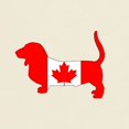 thumbnail image 3 of CafePress - Basset Hound Canadian Flag T Shirt - Light T-Shirt - CP, 3 of 4