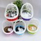 thumbnail image 1 of Gwong Juguete Simulación linda gatos gatito sonido peluche muñeca juguete canasta canasta decoración del hogar Gwong 30003977, 1 of 7