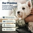 thumbnail image 3 of Vetnique Labs Glandex Advanced Vet Strength Soft Chews, for All Dogs, Duck & Bacon Flavored, 60 Count, 3 of 14