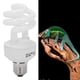 thumbnail image 5 of Lámpara De Ahorro De Energía UVB Para Reptiles, Lámpara De Ahorro De Energía UVB Con Luz Ultravioleta Para Plantas Suculentas De Calcio Para Reptiles, 5 of 7