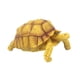 thumbnail image 4 of Figura de tortuga, juguete de tortuga, juguete educativo simulado, juego de tortuga pequeña amarillo, 4 of 9