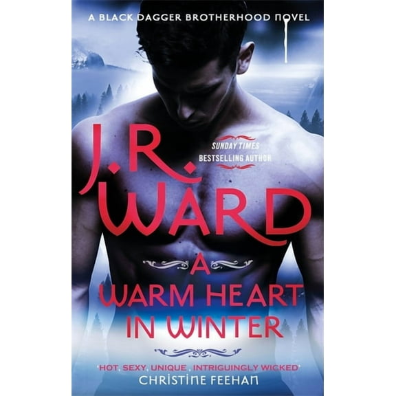 A Warm Heart in Winter, (Paperback)