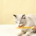 Weerihhol Cat Strip Feeder Cat Strip Spoon Cat Wet Food Spoon Cat Food ...