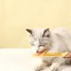 thumbnail image 5 of Comedero de tiras para gatos, cuchara para tiras de comida húmeda para gatos, cuchara para comida de gatos con orificio para colgar, cuchara para mascotas, cuchara para gatos y perros, 5 of 7
