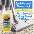 Bodhi Dog Natural Dog Odor Carpet Powder Dry Pet Smell Eliminator