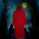 thumbnail image 1 of Capa para mujer, disfraz de Halloween, estilo medieval, capa con medio hombro y chal para mujer, 1 of 7