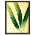 thumbnail image 1 of Modern Fan Palm Tree Leaf Detail Study Illustration Artwork Framed Wall Art Print A4, 1 of 4