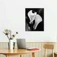 thumbnail image 3 of ARISTURING Calla Lily Canvas Wall Art: Black and White Flower Artwork Modern Floral Wrapped Canvas Picture Prints Elegant Living Room Painting Photography Ready to Hang for Bedroom Bathroom Office, 3 of 5