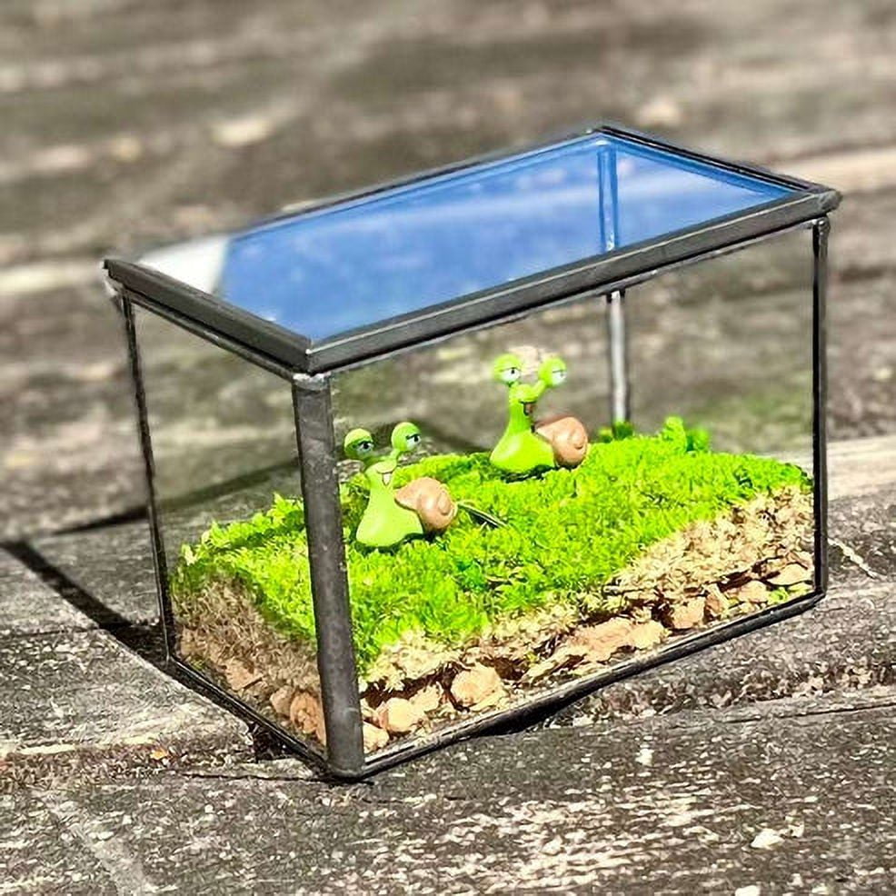 Smile Snail Desktop Decoration Micro Landscape Lawn Handmade Decor Preserved Moss Art