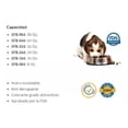 thumbnail image 3 of Plato Perro Gato 96oz Antiderrapante Acero Inoxidable Sunny Sunny SFB-961, 3 of 3