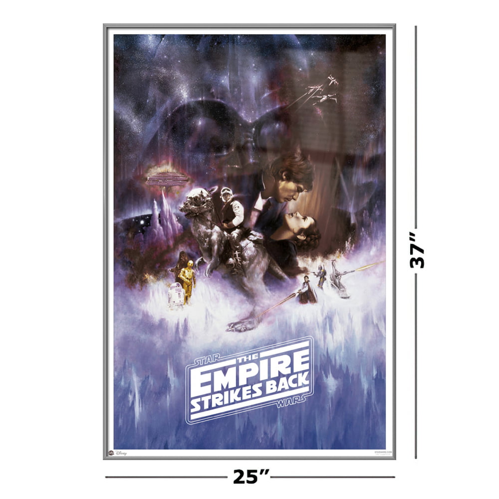 MOVIE POSTER THE EMPIRE STRIKES BACK SPECIAL EDITION Details about   STAR WARS 24 x 36"