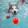 thumbnail image 1 of Pelota de goma resistente a mordidas, juguetes interactivos para perros, cachorros al aire libre, juego de mascotas, bolas para masticar, juguete para peque?os Medi LingWen 8390606495525, 1 of 1
