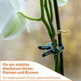 thumbnail image 4 of 10 pcs Cravates pour Tomates, Vignes, Roses, Support pour Plantes Grimpantes, Piquets, Fixation Facile, Réutilisables, 4 of 5