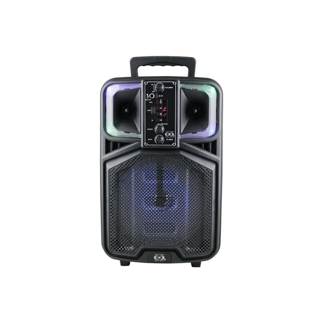 Bocina Amplificada 8 Pulgadas Bluetooth Portatil Usb Ce-88b