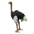 thumbnail image 4 of Figura de Avestruz Realista, Exquisita Artesanía Simulada de Avestruz Simulada Figura Animal de Vida Silvestre Para El Hogar, 4 of 7