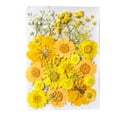 thumbnail image 4 of Ounissouiy Adorno de ramos de flores secas naturales, flores en relieve, planta preservada, hermosa joyería para el hogar para maquillaje facial Type2 NO2, 4 of 6