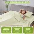 thumbnail image 3 of Lux Decor Collection Twin XL Rayon from Bamboo Blend Sheets Set- 3 Piece Luxury Deep Pocket Bed Sheets Set, Beige, 3 of 9