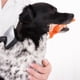 thumbnail image 4 of Juguete de goma para perros, ideal para limpiar los dientes y masticar Divertidos juguetes para perros, pelotas, juguete interactivo para buscar y buscar para cachorros y perros pequeños, 4 of 7