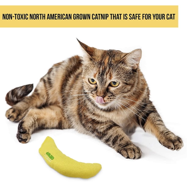 Cosmic 100% Catnip Filled Toy Walmart Business Supplies