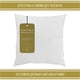 thumbnail image 1 of Relleno Premium Para Cojín Decorativo 40x40 Cm Marca Goût Goût Goût Home RELL40X40, 1 of 5