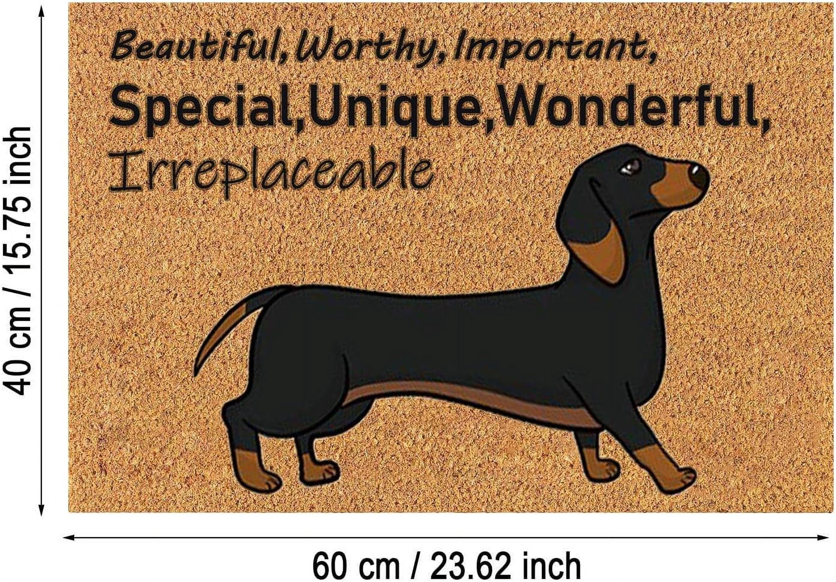 Coir Mat Door Mat Outdoor Mat for Entryway Outside Yard Home Decoration Door Mat - Novelty Designs Welcome Doormats Dachshund Coco Coir Outdoor Mat Natural Coir Doormat with Non-Slip Backing Sale