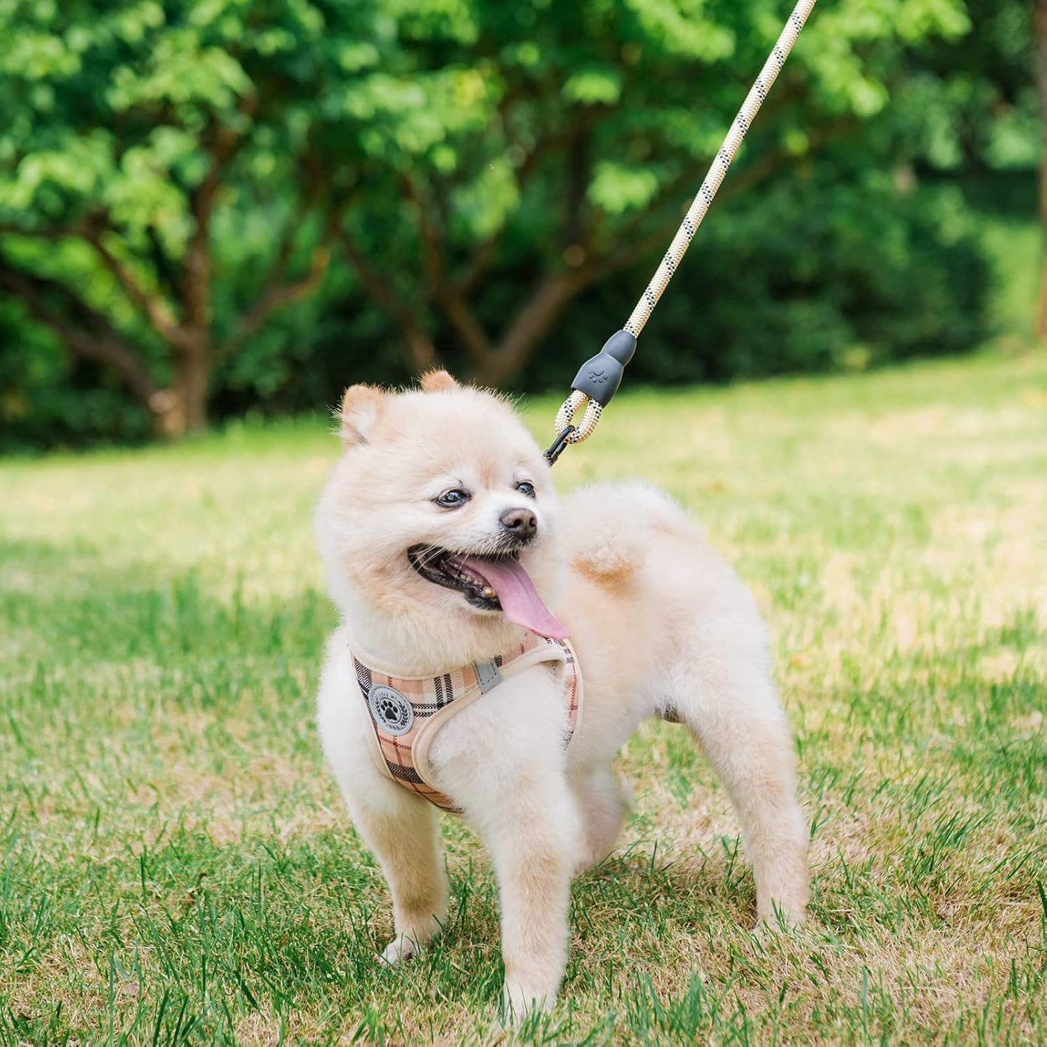 Small Dog Harness and Leash Set,Step in No Choke No Pull Soft Mesh Dog Harnesses Reflective for Extra Small Medium Puppy Dogs and Cats, Plaid Dog Vest Harness for XS S Pets, Beige S