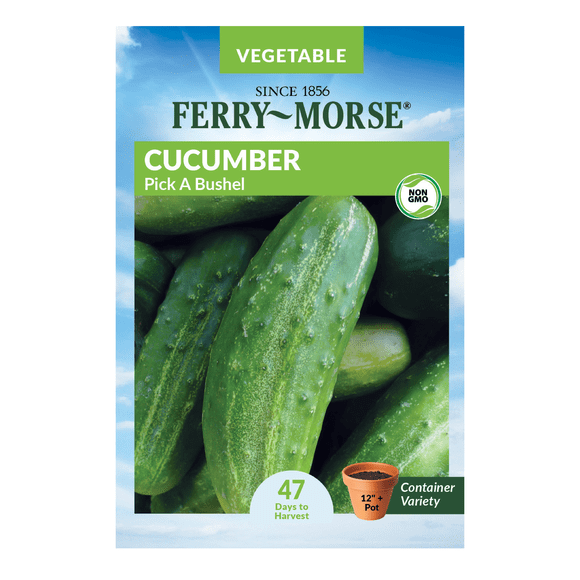 Vegetable Plants Seeds