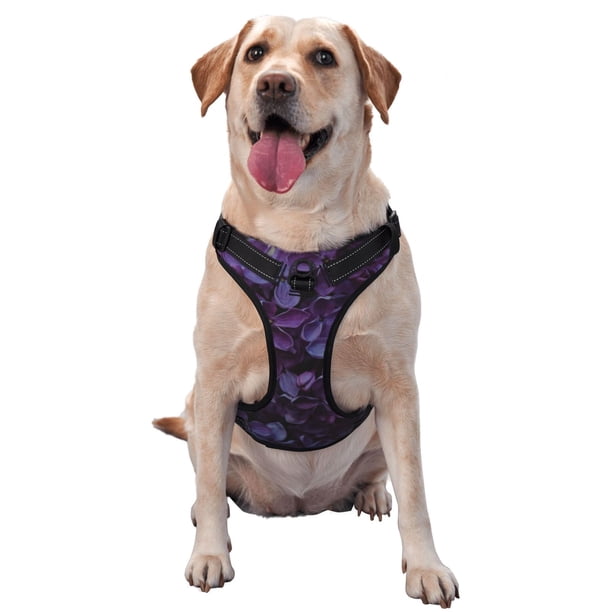 Balery Lilac Arnés para Perros Grandes Antitirones, Arnés con Correa para Gato, Arnés Tipo Chaleco para Perros Pequeños-Small