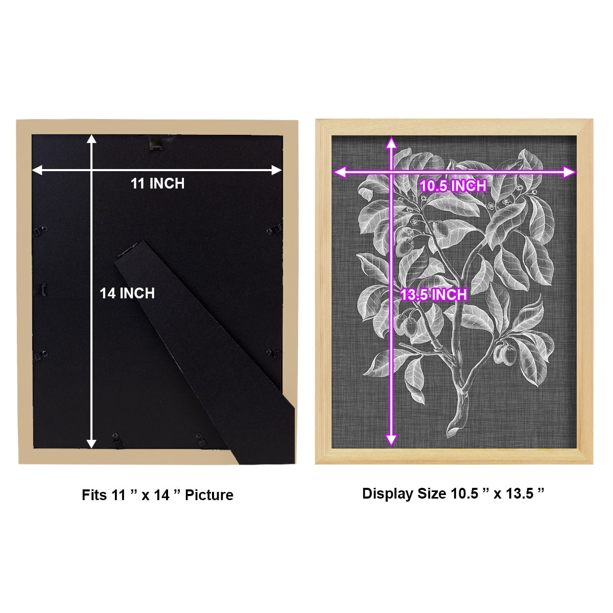 Graphic Foliage I - Framed Print w/glass - Natural Wood
