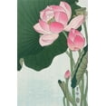 thumbnail image 2 of Koson, Ohara 11x14 Black Ornate Wood Framed with Double Matting Museum Art Print Titled - Blooming lotus flowers, 2 of 4