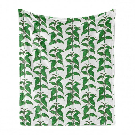 Apothecary Soft Flannel Fleece Throw Blanket, Nettle Pattern Fresh Foliage Hand Drawn Homeopathy Themed Illustration, Cozy Plush for Indoor and Outdoor Use, 50" x 60", Green and White, by Ambesonne