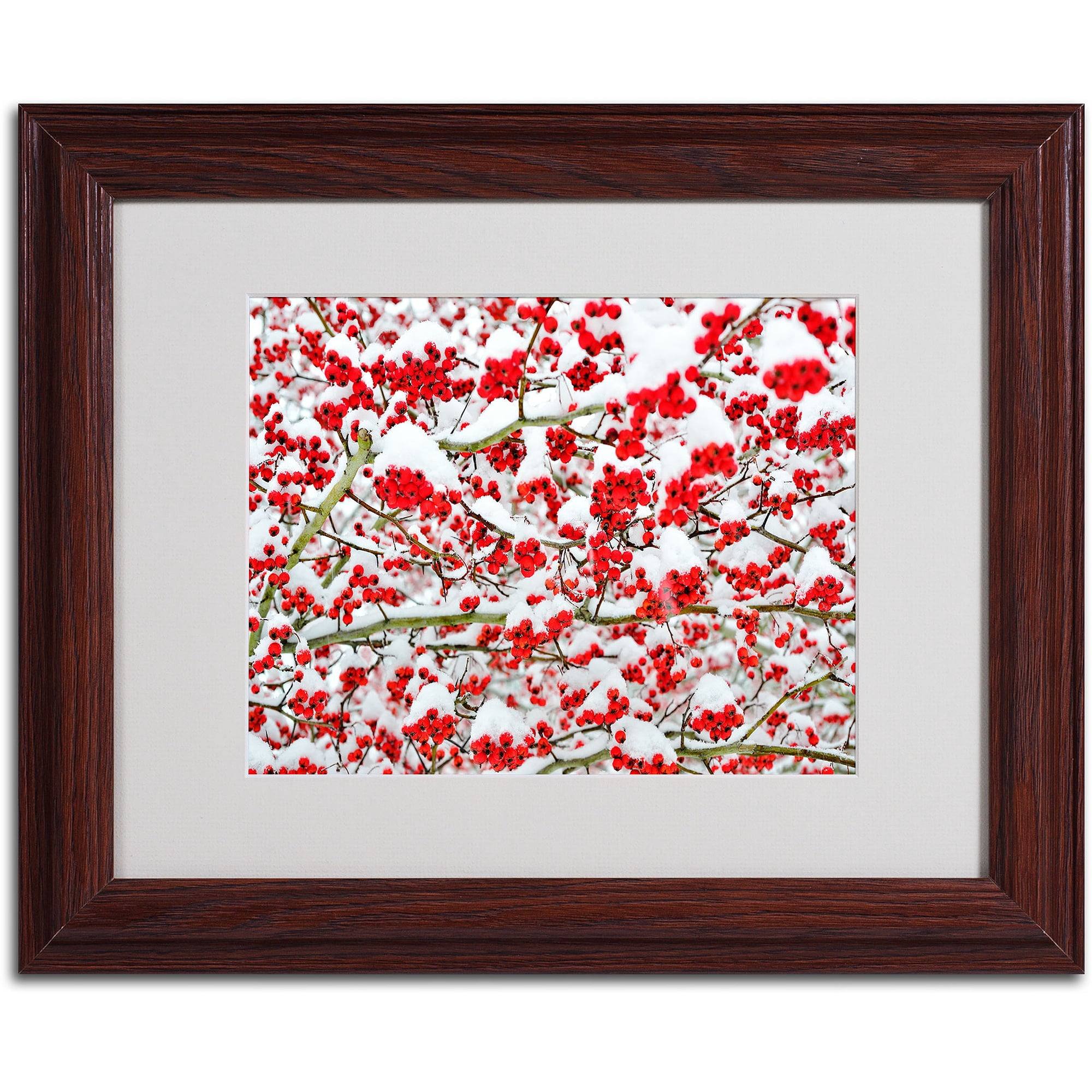 Trademark Fine Art "Winter Berries in the Snow" by Kurt Shaffer, Wood Frame