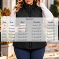thumbnail image 3 of Plus Size Vest for Women Baeitkot Solid Color Zip Up Sleeveless Outerwear with Pockets Warm Casual Streetwear Black XXXXL, 3 of 8