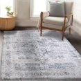 Delara Machine Washable Area Rug, Soft & Durable, NonSlip Backing