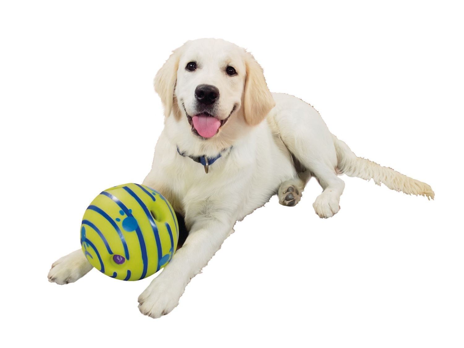 Jouet Wobble Wag Giggle - convient à toutes les tailles de chien