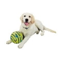 thumbnail image 2 of Allstar Products Group Allstar Wobble Wag Giggle Toy for All Size Dogs, 2 of 2