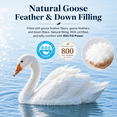 thumbnail image 2 of Unikome Goose Feather Fiber Lightweight Comforter, Duvet Insert with RDS Natural Fill, OEKO-TEX Certified, Box Stitch, 4 Corner Loops, Twin 68 x 88 in, Dark Gray, 2 of 4