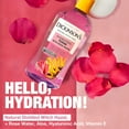 thumbnail image 6 of Dickinson's Hydrating Witch Hazel Toner with Rosewater, Alcohol Free, 16 fl oz, 6 of 10
