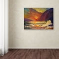thumbnail image 3 of Trademark Fine Art 'Hawaiian Coastal Sunset' Canvas Art by Manor Shadian, 3 of 3