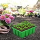 thumbnail image 5 of Kit de iniciación de semillas con cúpula de humedad | Miniinvernadero de 24 celdas con bandeja de germinación para verduras, flores y hierbas | Suministros de jardinería de interior con orificios de, 5 of 8