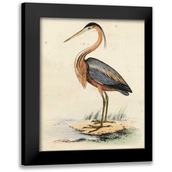 Unknown 12x14 Black Modern Framed Museum Art Print Titled - Antique Heron II