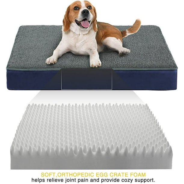 IGUOHAO Grand lit pour chien pour petits chiens de taille moyenne jusqu'à  55/85/115 lb - Mousse orthopédique pour caisse à œufs de 4 pouces avec  housse lavable amovible - Dessus en polaire