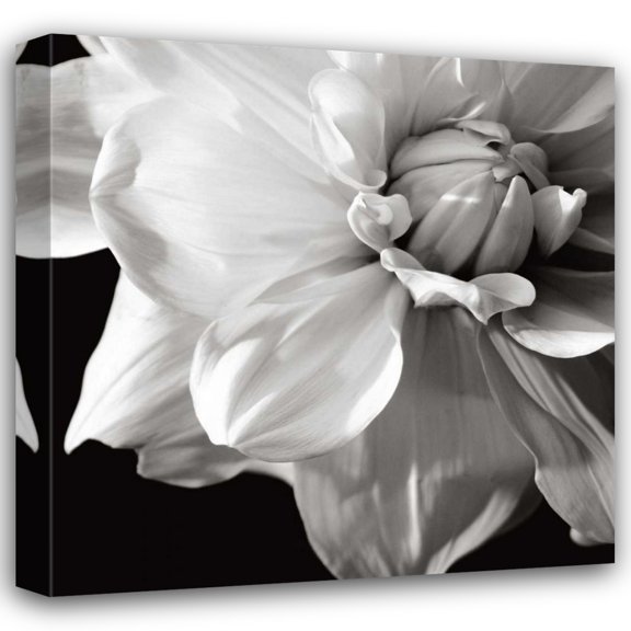 Jeff/Boyce Maihara/Watt 20x20 Gallery Wrapped Canvas Wall Art Titled - Sunburst III