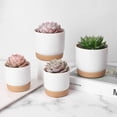 thumbnail image 3 of Cheer.US 2 Pcs Succulent Pot, Ceramic Succulent Planter Plant Pot for Cactus, Herbs, with Bamboo Tray & Drainage Hole – Desktop Windowsill Decor Pot,Plant Pot for Succulents, Cactus, Herbs, 3 of 7