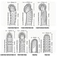 thumbnail image 2 of Condones para dedos, 9 Uds., partículas convexas, condón para coqueteo, condones para dedos, 2 of 8