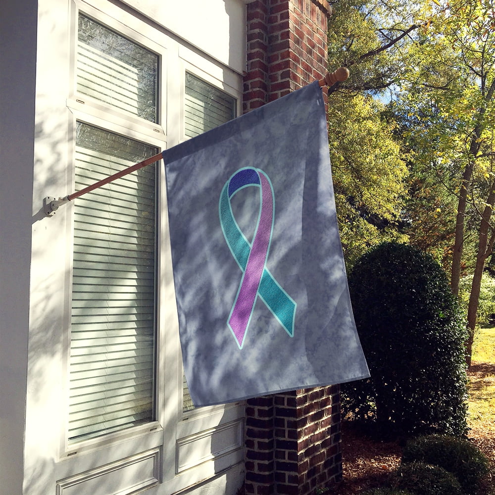 Teal, Pink and Blue Ribbon for Thyroid Cancer Awareness Flag Canvas House Size