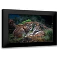 thumbnail image 1 of Barbieri, Gianfranco 24x17 Black Modern Framed Museum Art Print Titled - Moonschein Lovers, 1 of 5