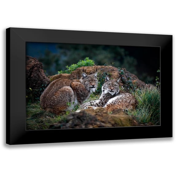 Barbieri, Gianfranco 24x17 Black Modern Framed Museum Art Print Titled - Moonschein Lovers